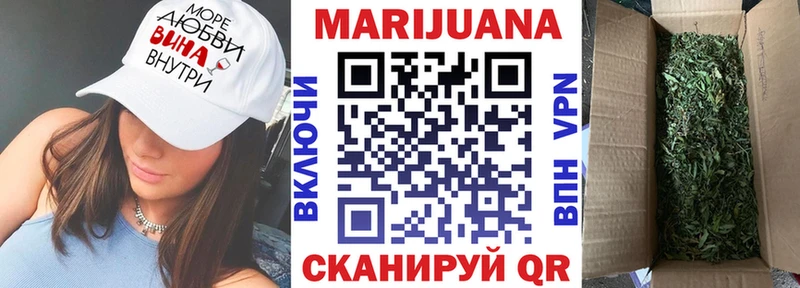 где найти наркотики  Новомичуринск  Марихуана MAZAR 